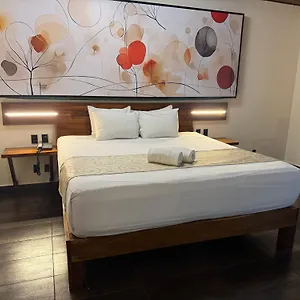 Отель Kavia 5th Avenida (adults Only)